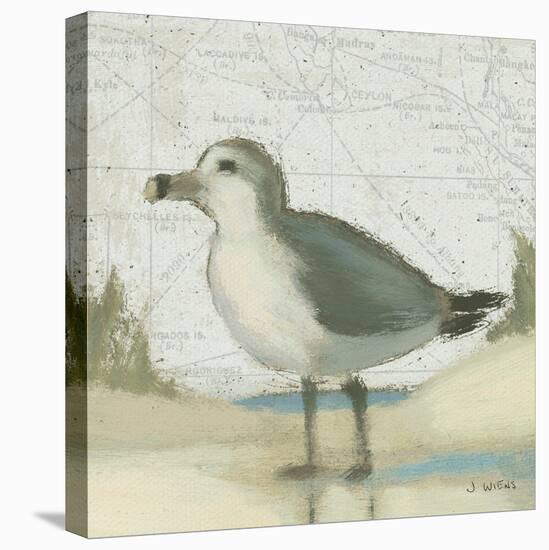 Beach Bird II-James Wiens-Stretched Canvas