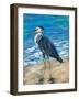 Beach Bird II-Julie DeRice-Framed Art Print