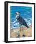 Beach Bird II-Julie DeRice-Framed Art Print