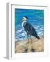 Beach Bird II-Julie DeRice-Framed Art Print