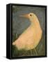 Beach Bird Sans Tail-Tim Nyberg-Framed Stretched Canvas