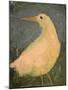 Beach Bird Sans Tail-Tim Nyberg-Mounted Giclee Print