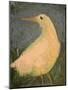 Beach Bird Sans Tail-Tim Nyberg-Mounted Giclee Print