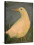 Beach Bird Sans Tail-Tim Nyberg-Stretched Canvas