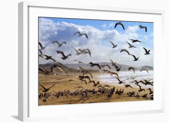 Beach Birds, Half Moon Bay, California Coast-Vincent James-Framed Photographic Print