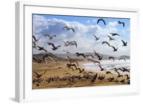 Beach Birds, Half Moon Bay, California Coast-Vincent James-Framed Photographic Print