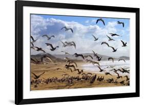 Beach Birds, Half Moon Bay, California Coast-Vincent James-Framed Photographic Print