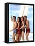 Beach Blanket Bingo, Frankie Avalon, Annette Funicello, Deborah Walley, John Ashley, 1965-null-Framed Stretched Canvas