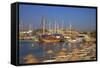 Beach, Boats and Castle, Bodrum, Anatolia, Turkey, Asia Minor, Eurasia-Neil Farrin-Framed Stretched Canvas
