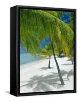 Beach, Bora Bora (Borabora), Society Islands, French Polynesia, South Pacific Islands, Pacific-Sylvain Grandadam-Framed Stretched Canvas