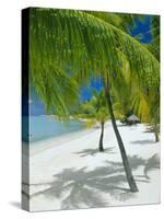 Beach, Bora Bora (Borabora), Society Islands, French Polynesia, South Pacific Islands, Pacific-Sylvain Grandadam-Stretched Canvas