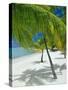 Beach, Bora Bora (Borabora), Society Islands, French Polynesia, South Pacific Islands, Pacific-Sylvain Grandadam-Stretched Canvas