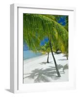 Beach, Bora Bora (Borabora), Society Islands, French Polynesia, South Pacific Islands, Pacific-Sylvain Grandadam-Framed Photographic Print