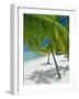 Beach, Bora Bora (Borabora), Society Islands, French Polynesia, South Pacific Islands, Pacific-Sylvain Grandadam-Framed Photographic Print