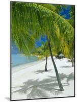 Beach, Bora Bora (Borabora), Society Islands, French Polynesia, South Pacific Islands, Pacific-Sylvain Grandadam-Mounted Photographic Print