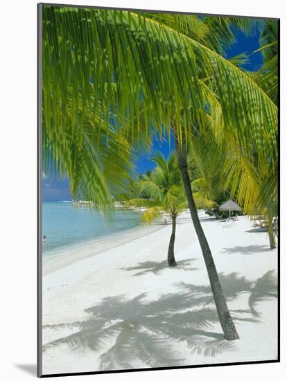 Beach, Bora Bora (Borabora), Society Islands, French Polynesia, South Pacific Islands, Pacific-Sylvain Grandadam-Mounted Photographic Print