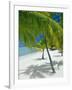 Beach, Bora Bora (Borabora), Society Islands, French Polynesia, South Pacific Islands, Pacific-Sylvain Grandadam-Framed Photographic Print