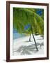 Beach, Bora Bora (Borabora), Society Islands, French Polynesia, South Pacific Islands, Pacific-Sylvain Grandadam-Framed Photographic Print