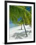 Beach, Bora Bora (Borabora), Society Islands, French Polynesia, South Pacific Islands, Pacific-Sylvain Grandadam-Framed Photographic Print