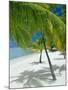 Beach, Bora Bora (Borabora), Society Islands, French Polynesia, South Pacific Islands, Pacific-Sylvain Grandadam-Mounted Photographic Print