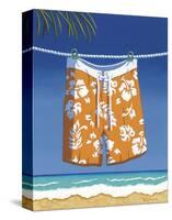 Beach Bound, Boardshorts-Michele Killman-Stretched Canvas