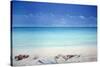 Beach Broker-Lincoln Seligman-Stretched Canvas
