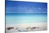 Beach Broker-Lincoln Seligman-Stretched Canvas