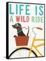 Beach Bums Dachshund Bicycle I Life-Michael Mullan-Framed Stretched Canvas