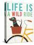 Beach Bums Dachshund Bicycle I Life-Michael Mullan-Stretched Canvas