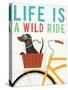 Beach Bums Dachshund Bicycle I Life-Michael Mullan-Stretched Canvas