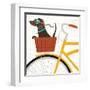 Beach Bums Dachshund Bicycle I-Michael Mullan-Framed Art Print