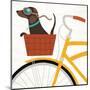 Beach Bums Dachshund Bicycle I-Michael Mullan-Mounted Art Print