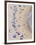 Beach, Cala De Sant Vicent, Ibiza, Balearic Islands, Spain, Mediterranean-Hans Peter Merten-Framed Photographic Print