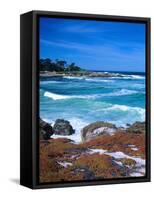 Beach, California, USA-John Alves-Framed Stretched Canvas