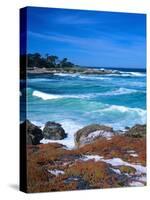 Beach, California, USA-John Alves-Stretched Canvas