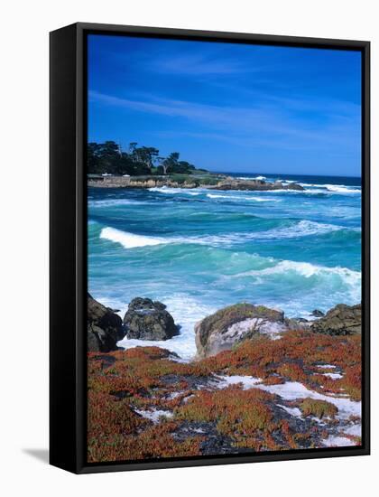 Beach, California, USA-John Alves-Framed Stretched Canvas