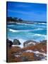 Beach, California, USA-John Alves-Stretched Canvas