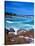 Beach, California, USA-John Alves-Stretched Canvas