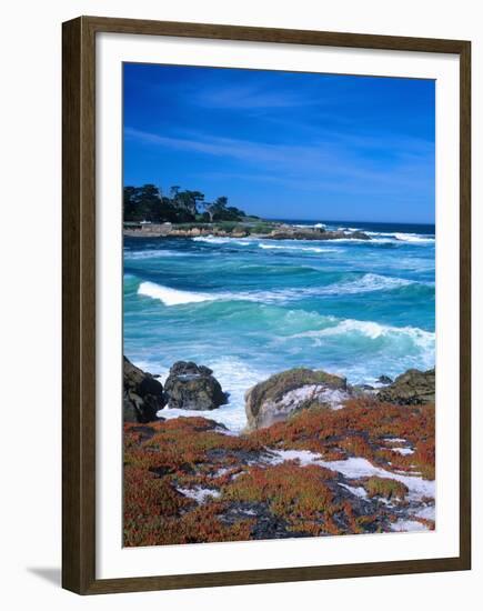 Beach, California, USA-John Alves-Framed Premium Photographic Print