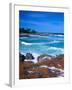 Beach, California, USA-John Alves-Framed Premium Photographic Print