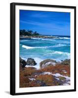 Beach, California, USA-John Alves-Framed Premium Photographic Print