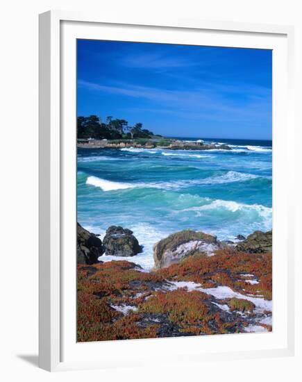 Beach, California, USA-John Alves-Framed Premium Photographic Print