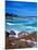 Beach, California, USA-John Alves-Mounted Premium Photographic Print