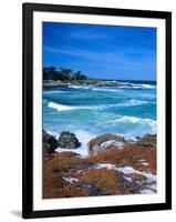 Beach, California, USA-John Alves-Framed Premium Photographic Print