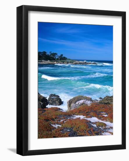 Beach, California, USA-John Alves-Framed Photographic Print