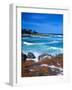 Beach, California, USA-John Alves-Framed Photographic Print