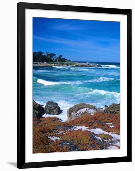 Beach, California, USA-John Alves-Framed Photographic Print