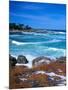 Beach, California, USA-John Alves-Mounted Photographic Print