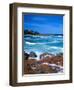 Beach, California, USA-John Alves-Framed Photographic Print