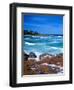 Beach, California, USA-John Alves-Framed Photographic Print